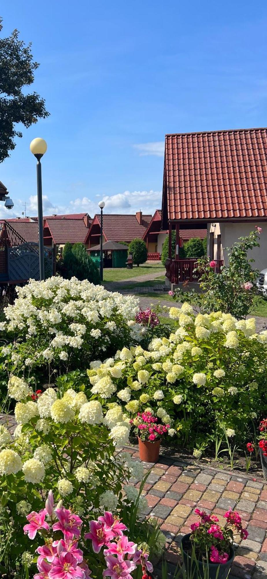 Lazur Domki Wypoczynkowe Dźwirzyno Exterior foto